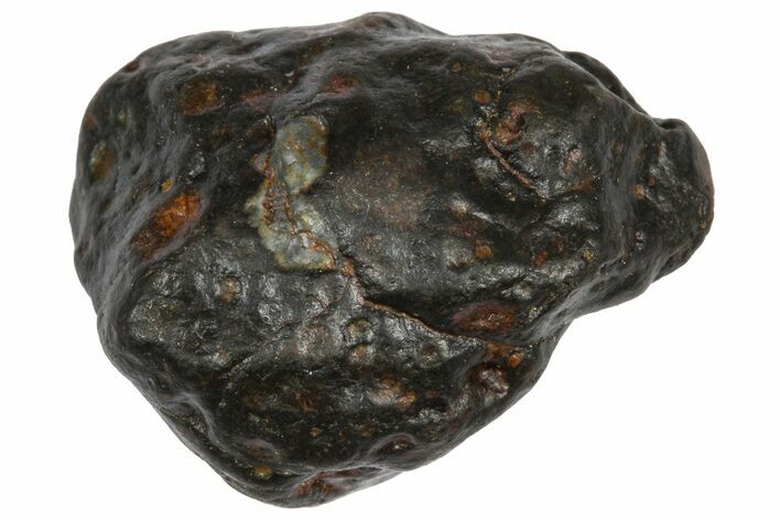 Carbonaceous Chondrite Meteorite ( g) - NWA #334425